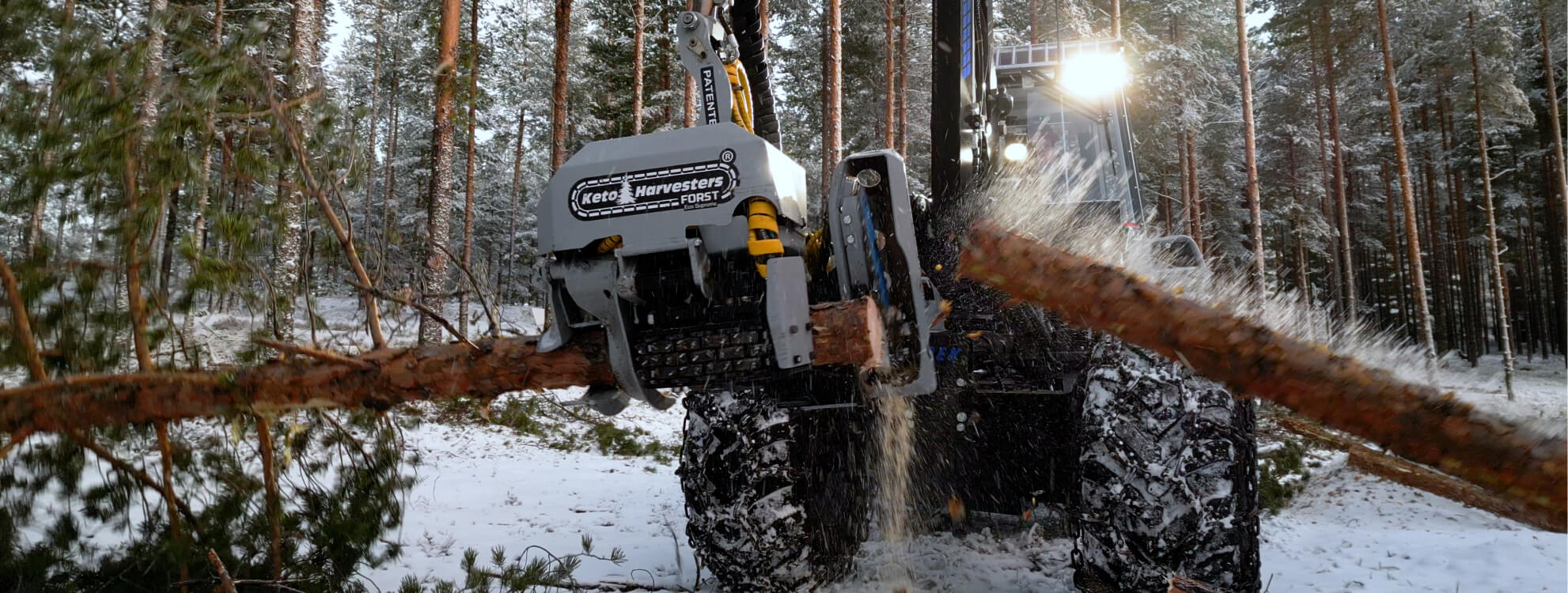 Forest Machines